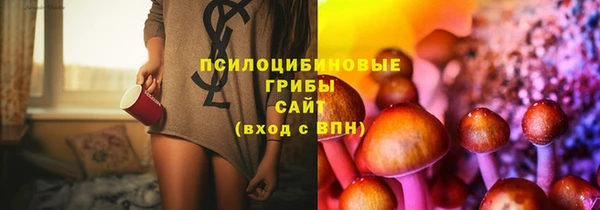 героин Алексин