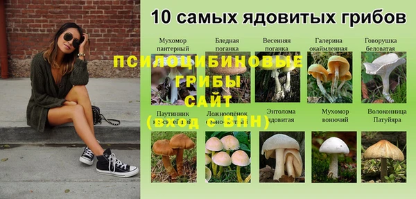 Альфа ПВП Алексеевка