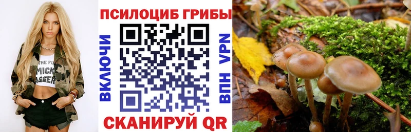 Псилоцибиновые грибы GOLDEN TEACHER Белоозёрский